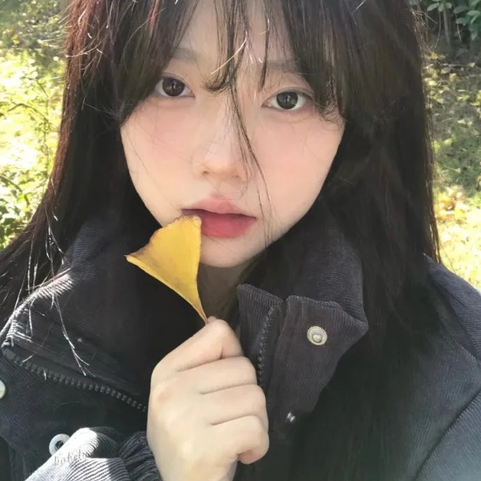 与君重逢初见时